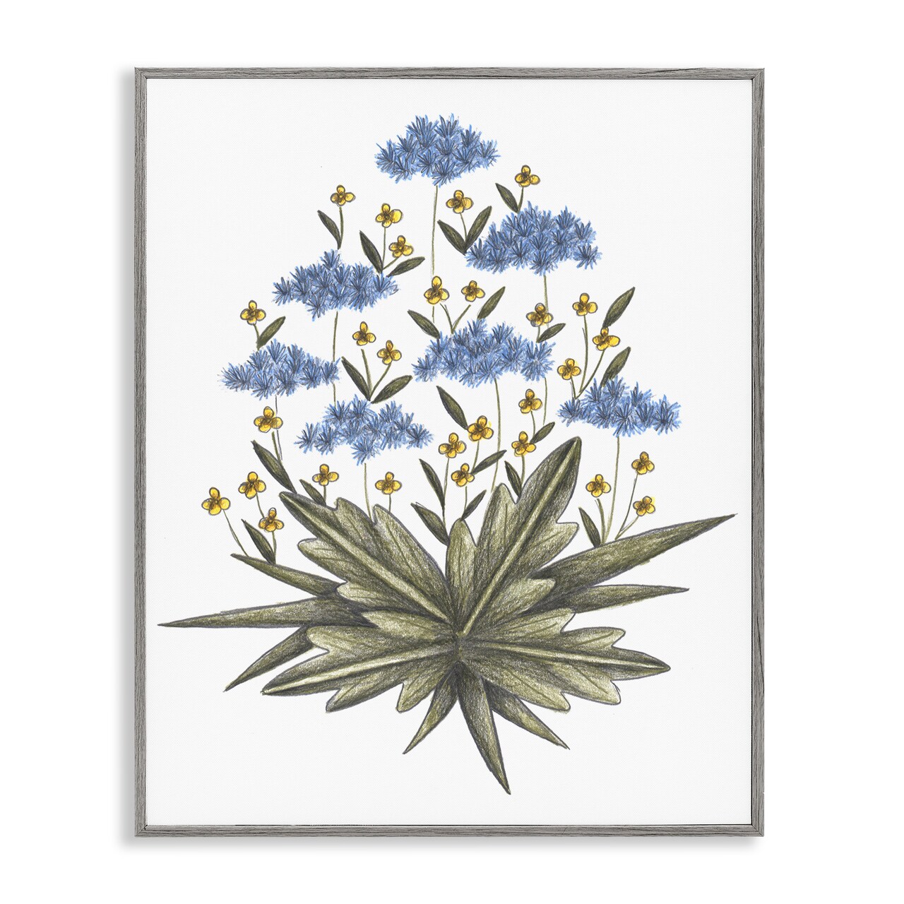Stupell Industries Where Wild Flowers Bloom Framed Giclee, design by Cecilia Battaini